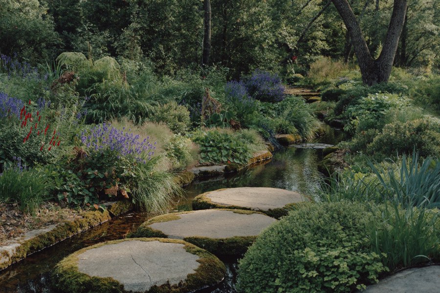 Three round, moss-edged stepping stones crossing a narrow garden stream lined with ferns, grasses and blue and red flowers under tall trees